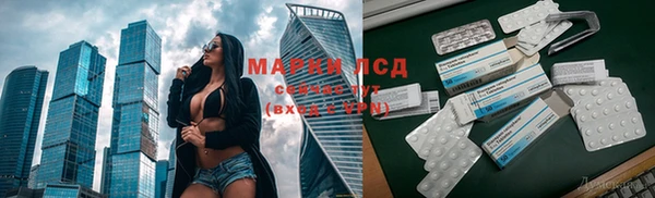 индика Алексин