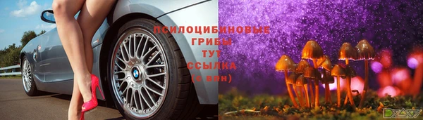 spice Алзамай