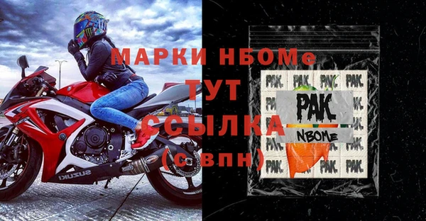 индика Алексин