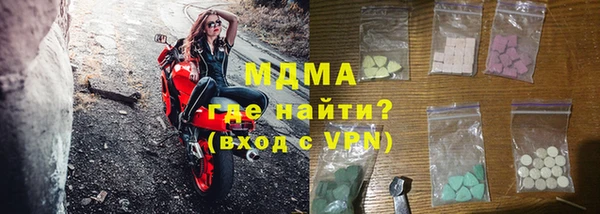 индика Алексин