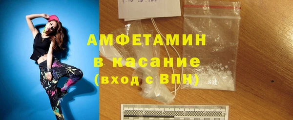 индика Алексин