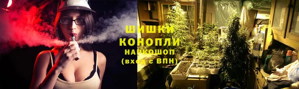 spice Алзамай